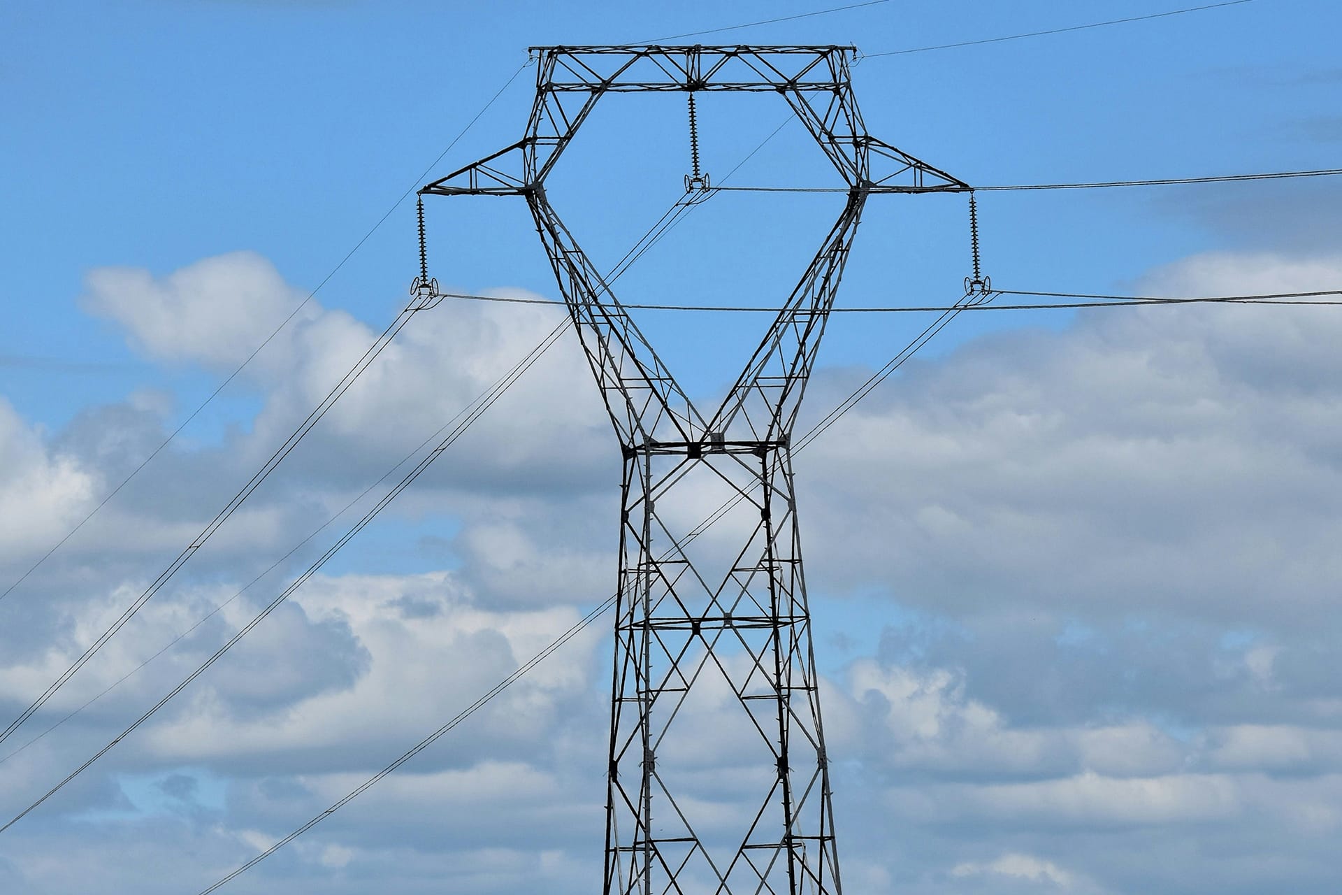 Application 4 Grid Company img